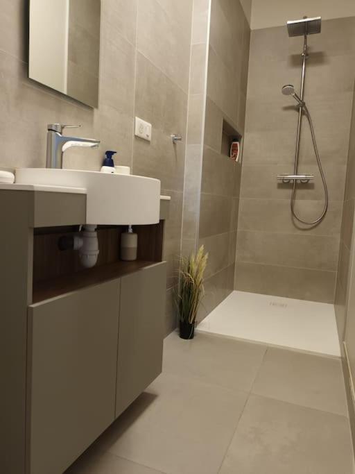 Ferienwohnung Castel De Satoya Belfort Exterior foto